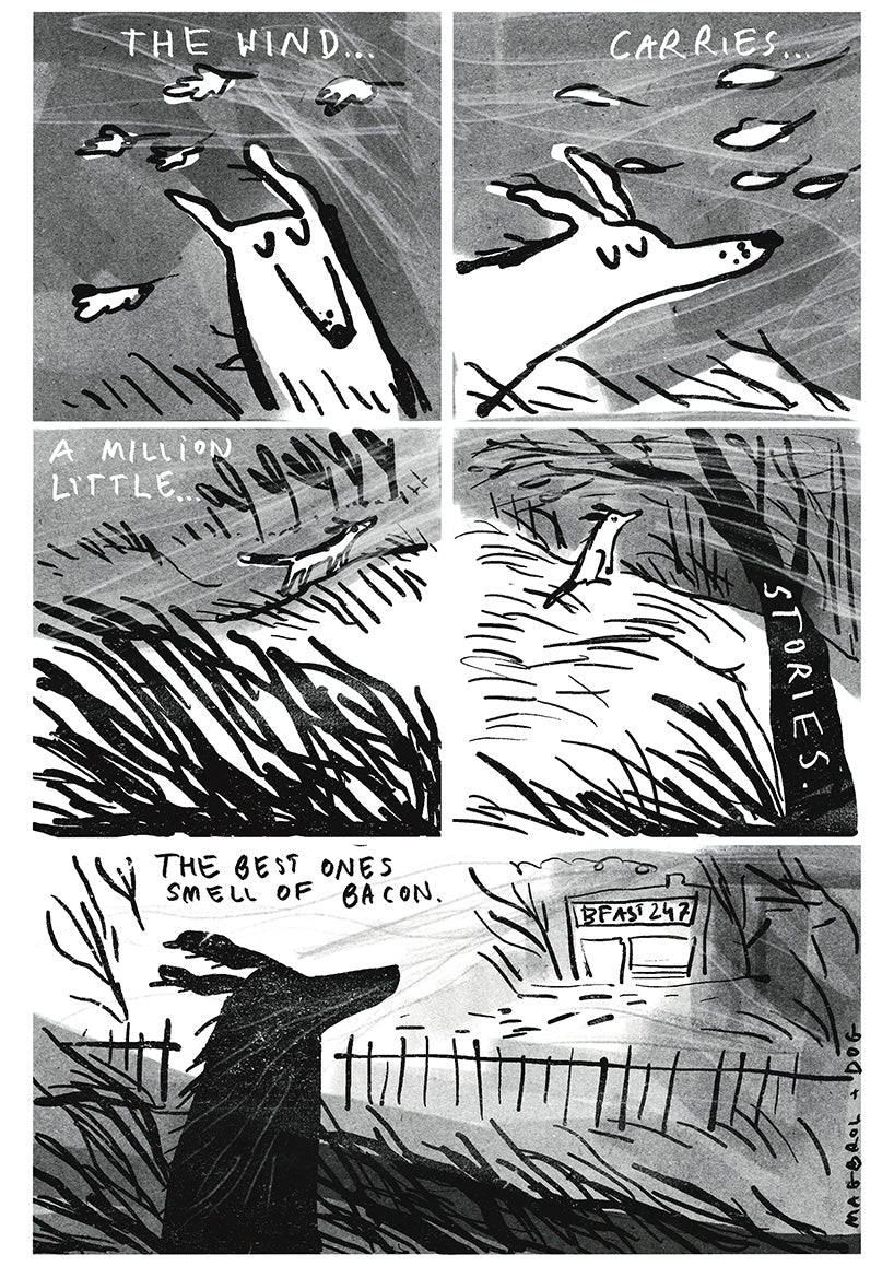 The wind