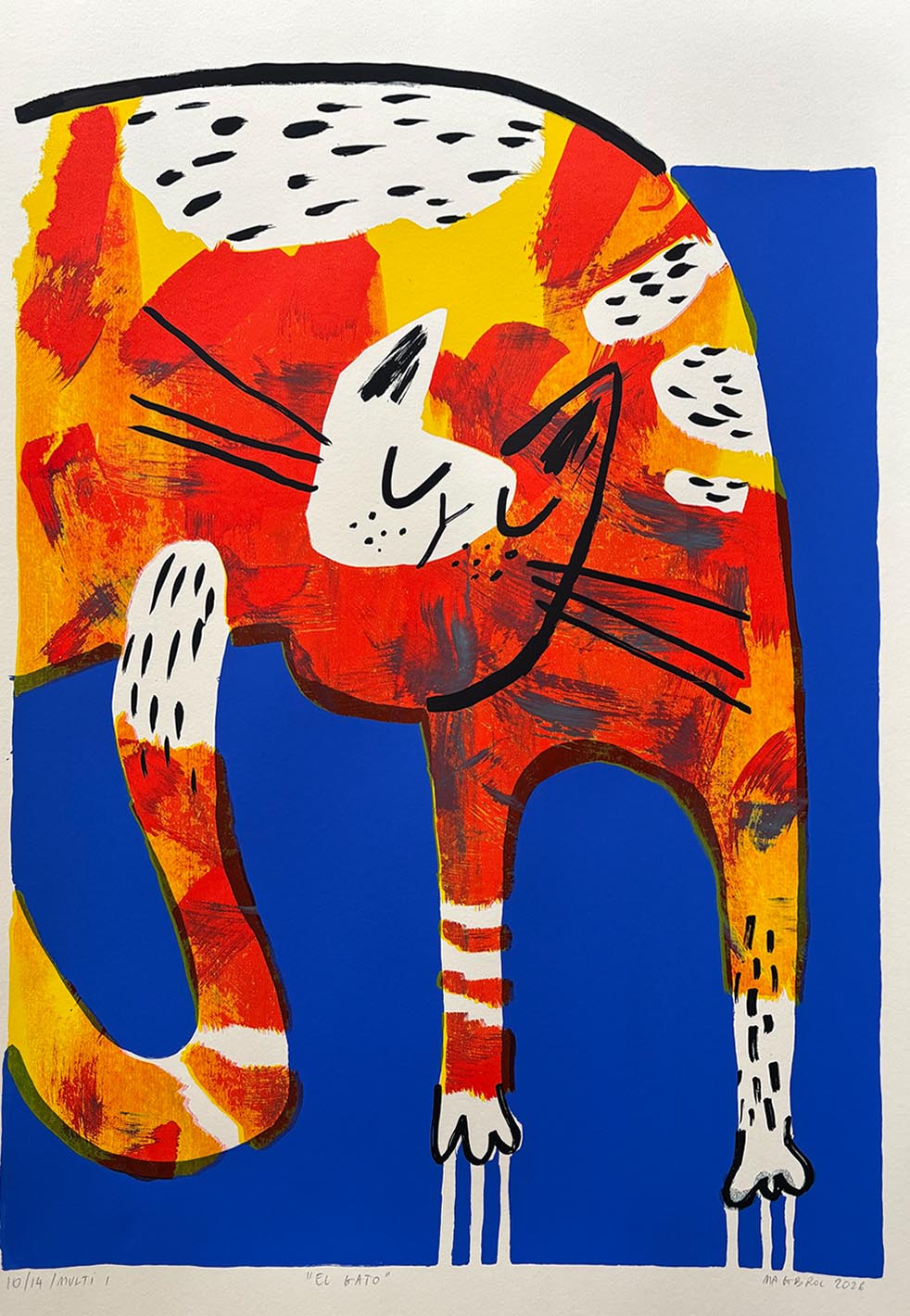 El gato
