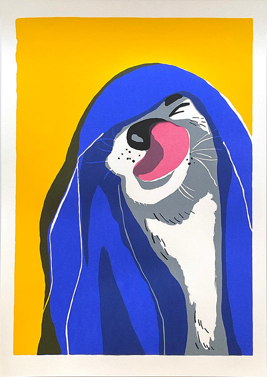 Luís - A2 screen print