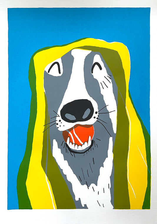 Sergio - - A2 screen print