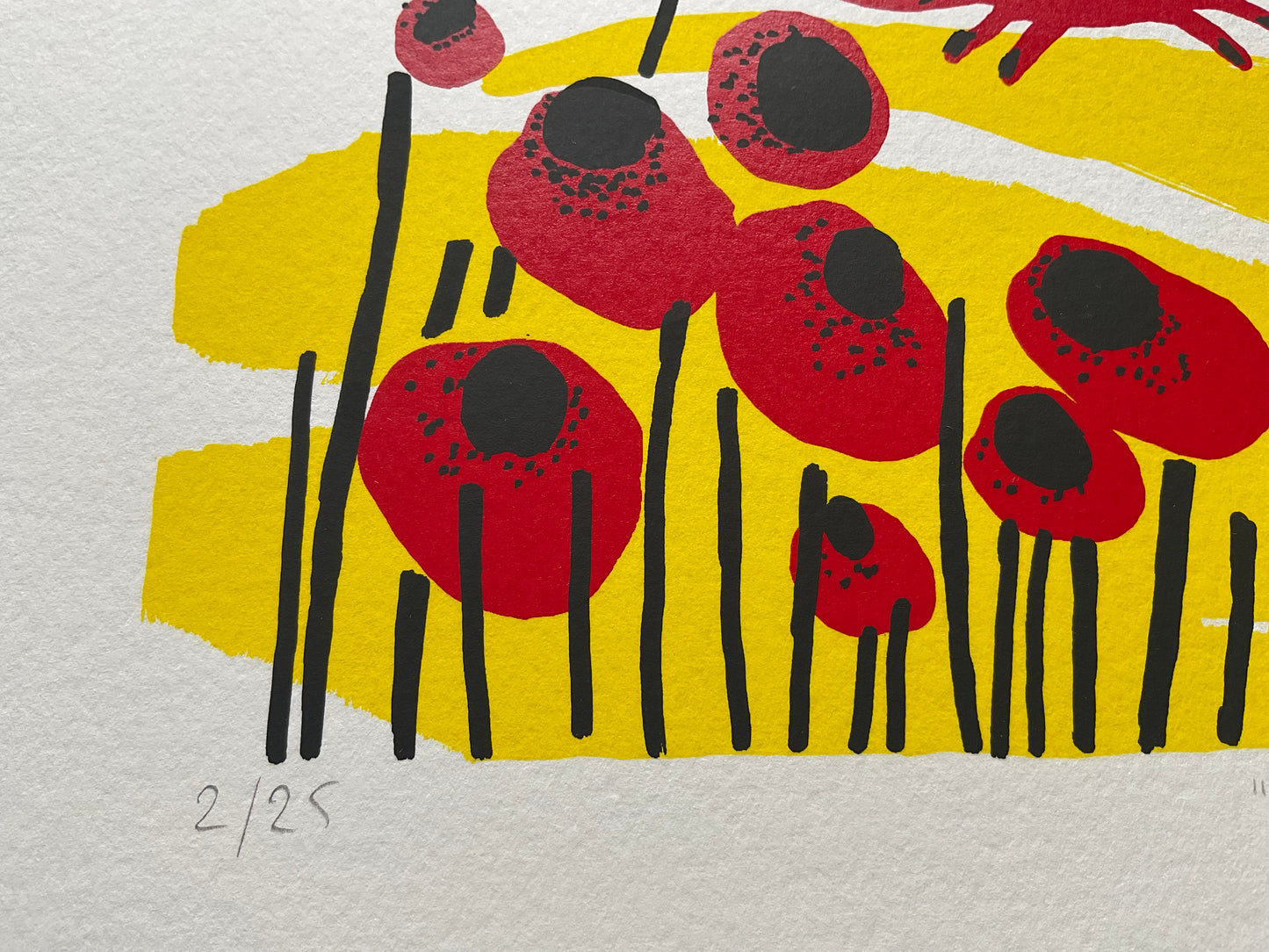 Poppy run