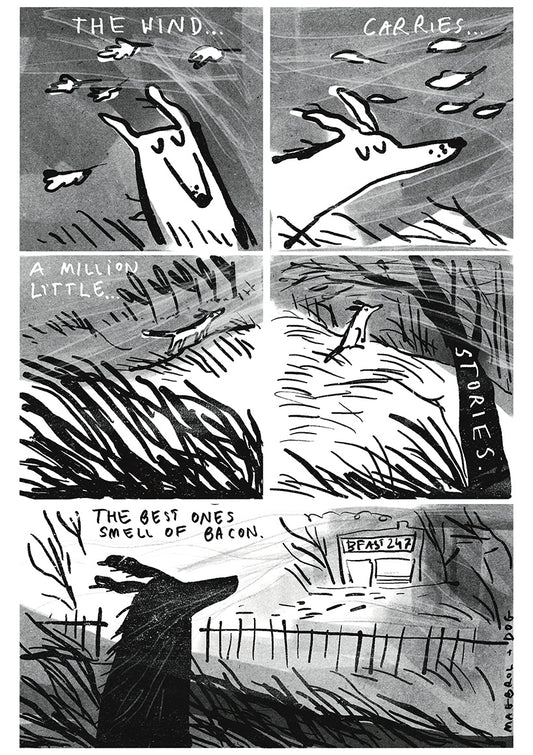 The wind