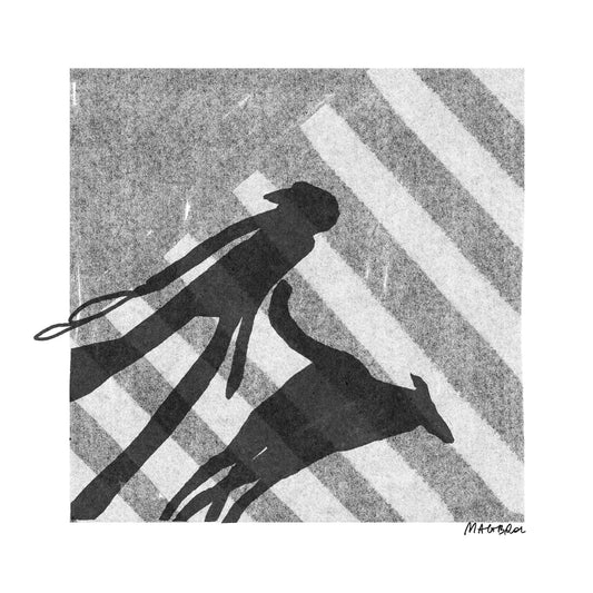 Zebra square art print